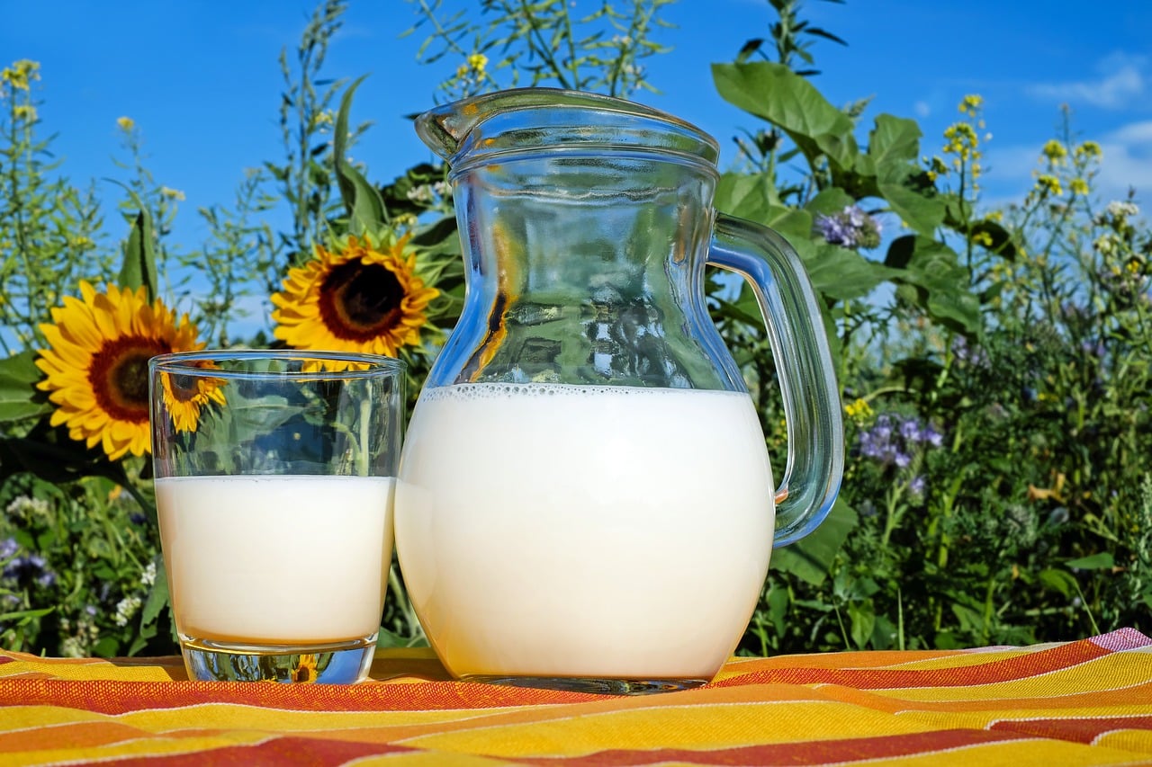 Why the History of Raw Milk Matters